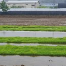 구산배수펌프장 이미지