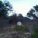 편안농장 이미지