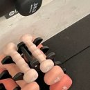 로얄핏PT 이미지