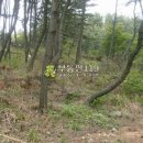 용지호스텔 이미지