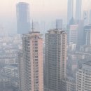 옌 | 선양 아침시장 어디 갈까? 小河沿早市 샤오허옌 솔직후기