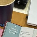 디더블유기획출판사 | 이정도면 독서붐은이미왔다고볼수있죠 :: 2025 서울국제도서전 후기 얼리버드티켓 네이버예약 예매 꿀팁