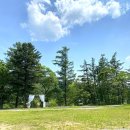 트리앤캠프스토리 이미지