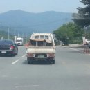 세실농장 이미지