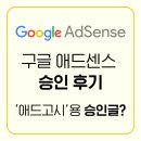 웹피북 | 구글 애드센스 승인 후기 - 애드고시용 승인글?