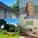 제주 소락 | 제주 동쪽 감성 숙소 제주소락 5만원 가성비 1-2인 숙소