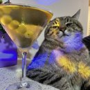 나인트리프리미어호텔 명동2 이미지