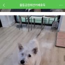 휴독 이미지