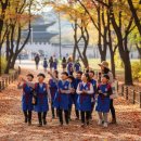 가족이 함께 떠나는 숲체험 & 놀이 - 숲속에서 만나는 동화 나라 | 경복궁 숲해랑 역사 숲체험 숲 속 모험으로 보내는 하루