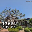 자연의 향기 | 대전 서구 괴정동 한민시장 근처 곰탕 맛집 소나무 풍경 후기