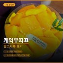 대전 성심당 케익부띠끄 망고시루 | 멜론한통케익 오픈런 후기
