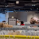 Shein, Action, Normal : les Français sont-ils des accros du shopping ? 이미지