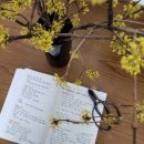 경북대학교 농업생명융합대학원 이미지