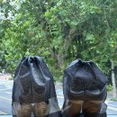 이화 손세탁 이미지