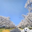 환경시설공단(달성사업소) | 대구공공시설관리공단 제1기 시민파트너스 발대식 뜨거웠던 현장