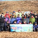 안산동(시경계) Daum카페
