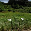 주공1번지공인중개사사무소 이미지