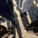 연우회관 | 수 학 여 행 !