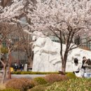 (성인)엄마가 미리 배우는 세계문화와 역사 이미지