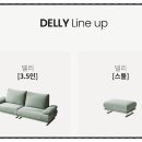 더코지라이프