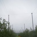 삼정농원 이미지