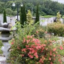 부곡허브농원 아로마빌리지 이미지