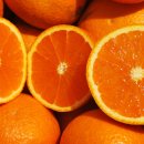 주화농장 이미지