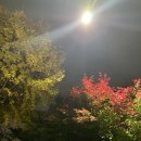박사장네정육점 이미지