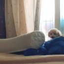 다나은동물약국 이미지