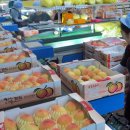 옥천군 농산물산지유통센터 이미지