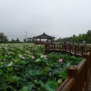 레이지수잔