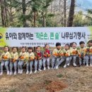 작은나무숲 이미지