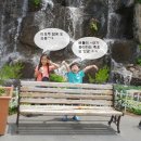 현서축사 이미지