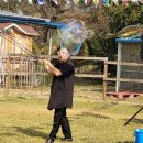 대파니 힐링팜 이미지