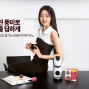 돌체 위키트리