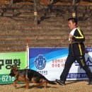 Gumiland 이미지