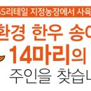 친환경한우농장 이미지