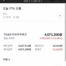 자게 선구안 여시들 모음 이미지