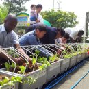 안산시농업기술센터 이미지