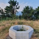 엔터테이너 거리 이미지