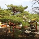 단월약국 이미지