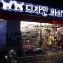 디자인바이펫 이미지