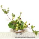 동양꽃꽂이 이미지