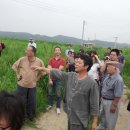 김상기농장 이미지