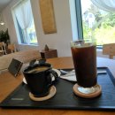 옐로우송버드 이미지