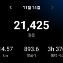 2024년11월14일(전남광양 별매산 가학산 흑석산 두억봉 6.13km 5시간20분) 이미지