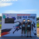 도청대로(북) | 2025 경북 마라톤 대회 후기 10km 코스