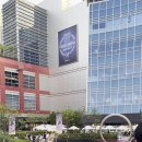 도그허니 이미지