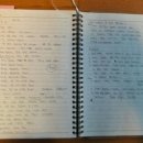 동삼(태권도) 이미지