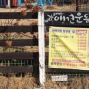 달려라 해피 이미지